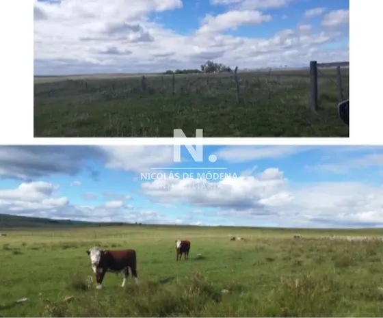Vende Campo En Salto, Costas De Arerungua.