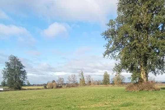 Precisosa Parcela La Unión Lago Ranco