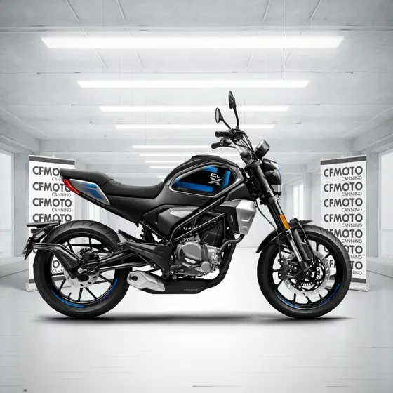 Cfmoto 300 Clx - Cfmoto Canning