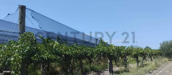 Venta De Finca En San Martin