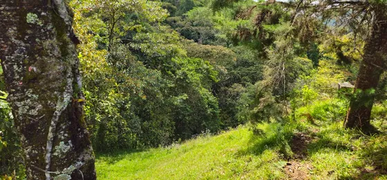 Venta De Lote En Santa Bárbara Vereda Pitayó Lote No. 8