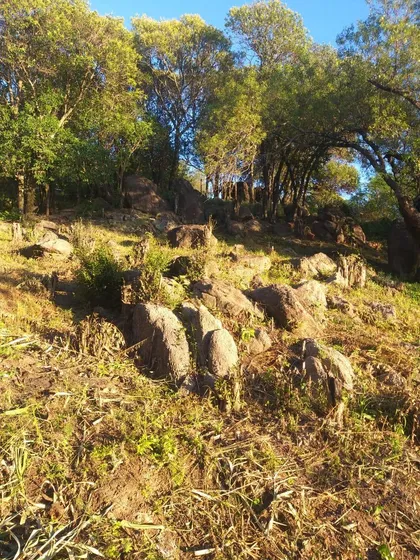 Terreno En Agua De Oro