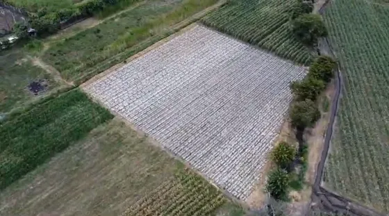 Lote Terreno De 6.044m2 En Venta Santa Elena El Cerrito Valle Colombia