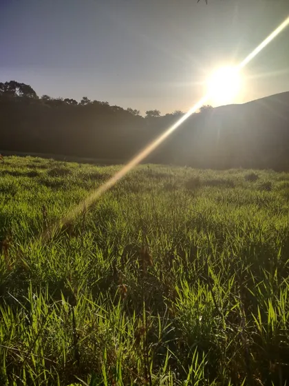 Terreno 2 Mil Metros 