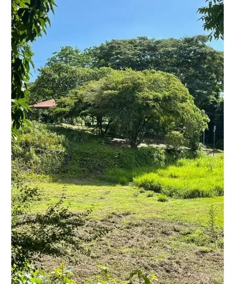 Complejo Agro-industrial Y Comercial Tcl T 9738654