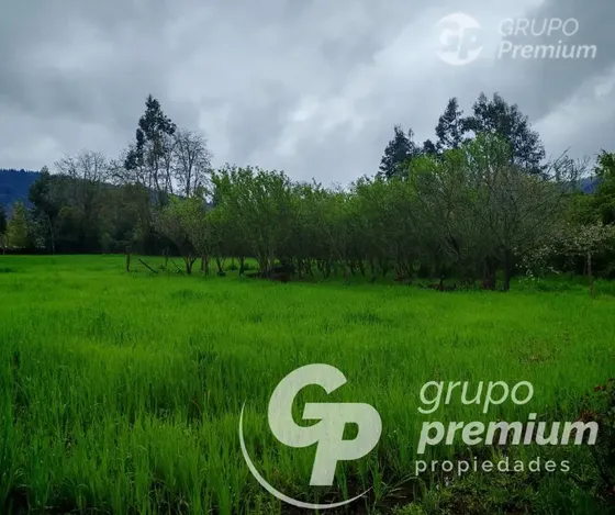 Parcela En Venta En Curicó