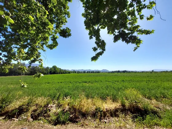 Terreno De 17, 8 Hectáreas En Santa Rita
