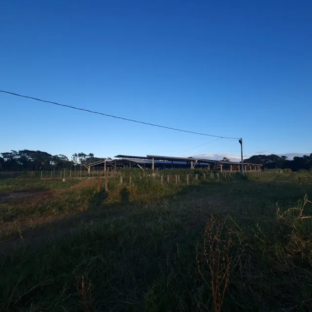 Finca Full Ganadera En La Provincia Duarte De 671 Tareas 