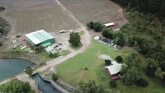 Agrícola En Venta En Colbún / Bramadero