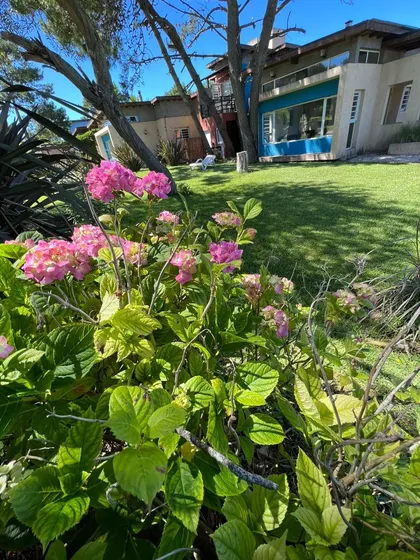 Casa En Venta En Las Gaviotas, Tres Ambientes Escucho Oferta