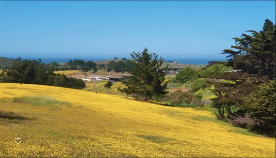Sitio En Venta En Pichilemu
