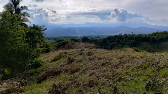 Venta De Lote En Hacienda Carmelita, Cerritos Via Pereira Ri