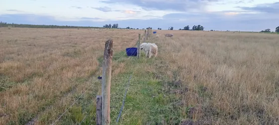 Campo Para Cualquier Destino 