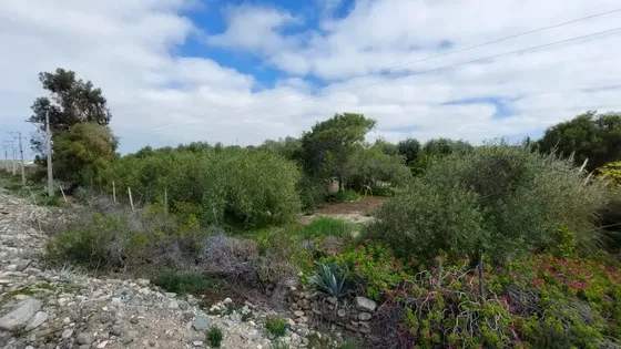 Increible Parcela En Los Choros Naturaleza, Turismo, Dominga