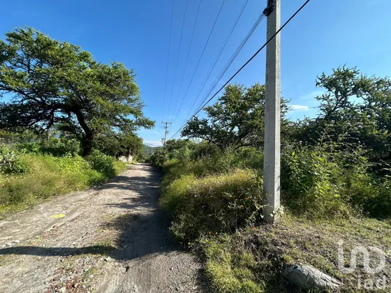 Venta Terreno 0 Ambiente Alpuyeca