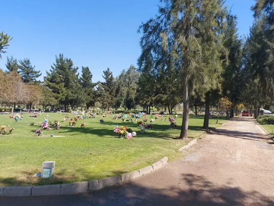 Es Para 4 Personas Más 2 Reducciones