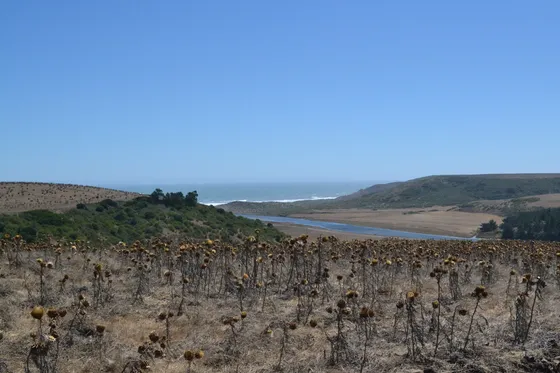 Parcela Con Vista Al Mar Y Estero Maitenlahue Sto. Domingo