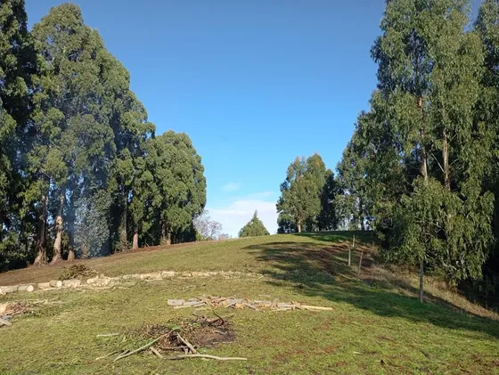 Lindas Parcelas Con Vista Al Valle Ceninela, La Union
