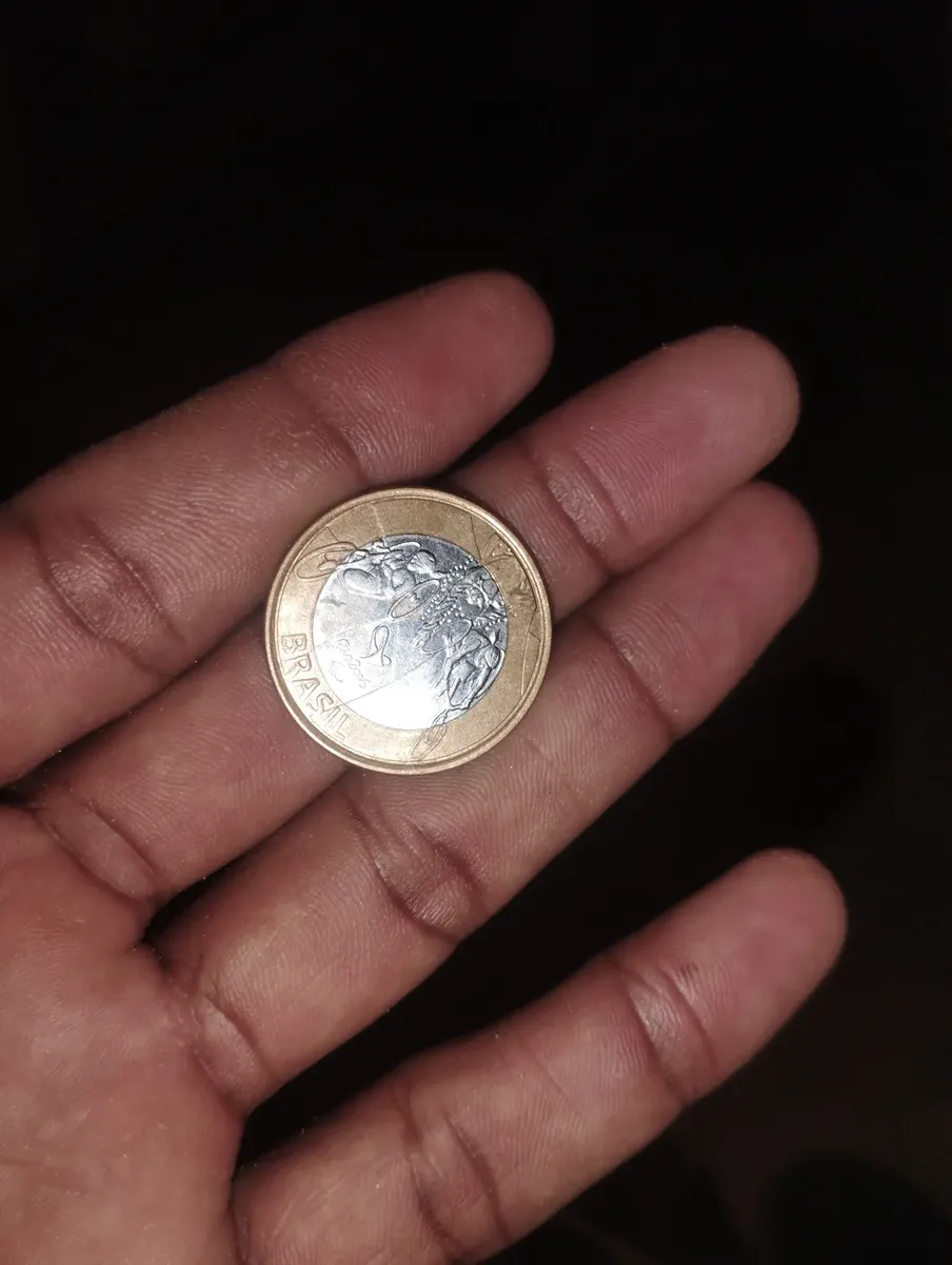 One Real Coin