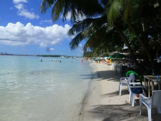 Dos Aparta-hoteles / Restaurantes En Boca Chica, Frente Al Mar Con Playa Propiedad Con Titulo Y Deslindada!