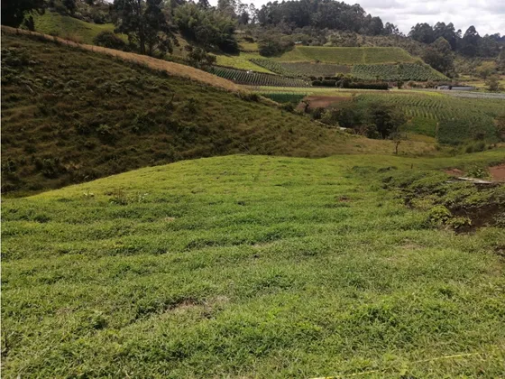 Lote En Venta En Marinilla Sector La Primavera 