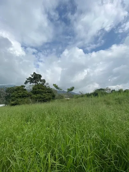 Pance, 6.000 M2.