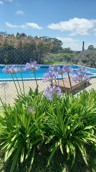 Cabañas En Tandil!!! ¡imperdible!!!! 