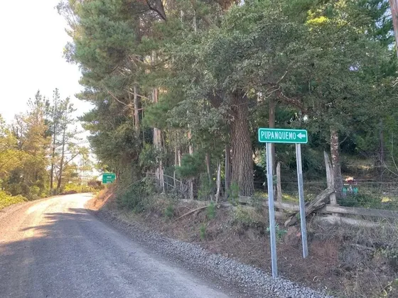 Campo Forestal Sector Pupanquemo