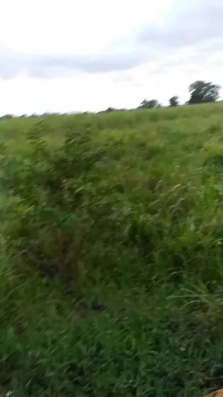 Vendo Esta Majestuosa Finca De 2800 Tareas En Monte Plata