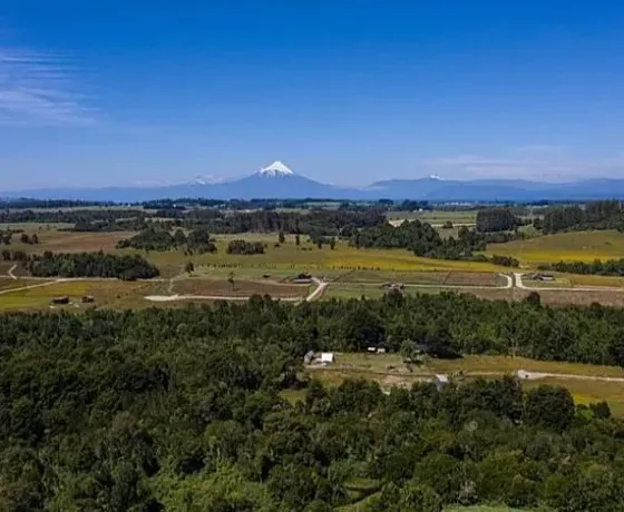 Agrícola En Venta En Purranque