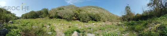 Terreno De 24 Hectáreas En Venta/renta En Actopan. Veracruz.