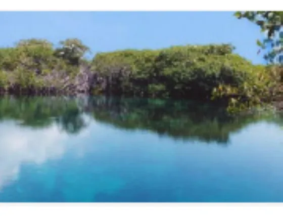 Terreno En Venta En Akumal