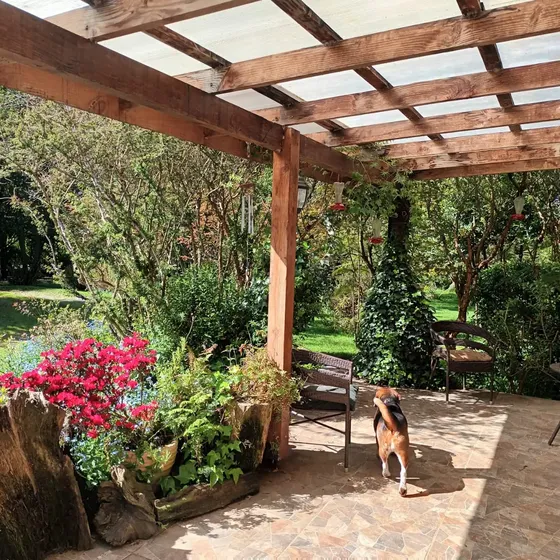 Vendo En Puerto Varas, Casa Rodeada De Jardines Y Arboles
