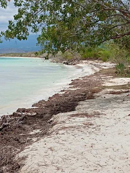 Te Vendo Terreno En Pedernales Republica Dominicana.