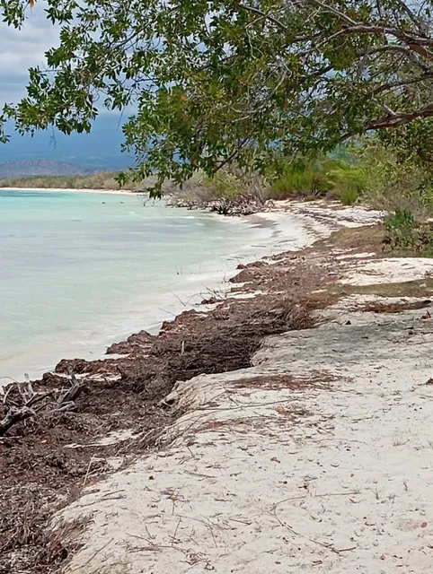 Te Vendo Terreno En Pedernales Republica Dominicana.