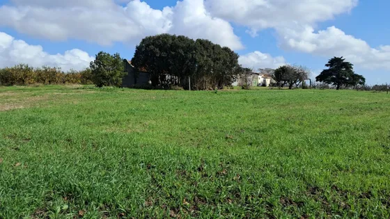 Chacra Quinta En Melilla Para Vivienda, Producción Y Esparcimiento - Usd 80.000.- Más Cuotas Mensuales
