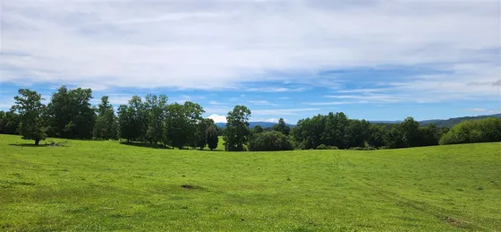 Agrícola En Venta En Cunco