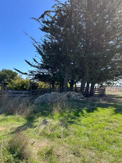 Parcelas A 35 Minutos De Pichilemu, Pie 0