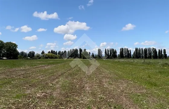 Sitio En Venta En Parral