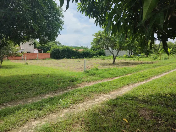 Venta Lote Campestre Bajo Habana Tubara Atlantico Colombia