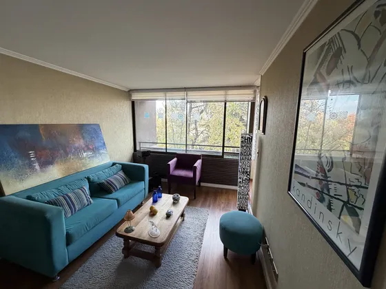 Hermoso Departamento En Providencia Estacionamiento Y Bodega
