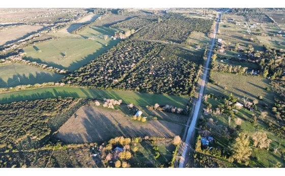 Vendo Casa De Campo En 3 Has En Concepción Del Uruguay, Entre Ríos.