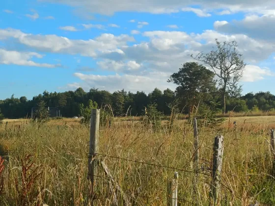 Se Vende Preciosa Parcela En Frutillar