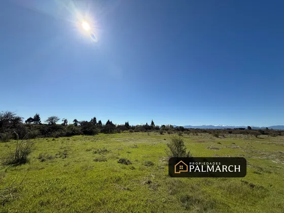Parcela En Venta Sector 10000m2 Talquita Parral