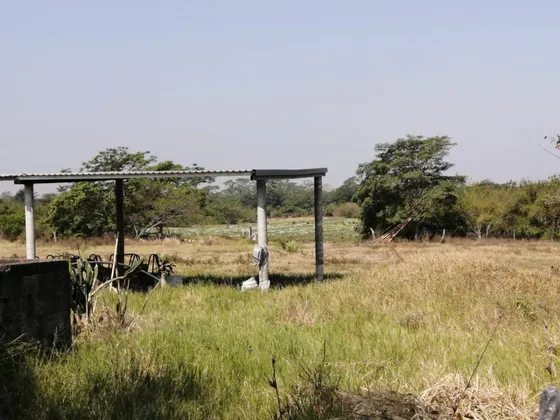Hectáreas En Venta Veracruz Localidad El Pando, Veracruz.