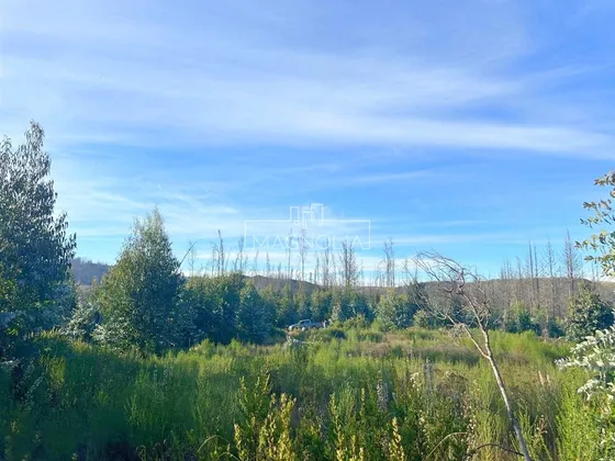 Sitio En Venta En Santa Juana