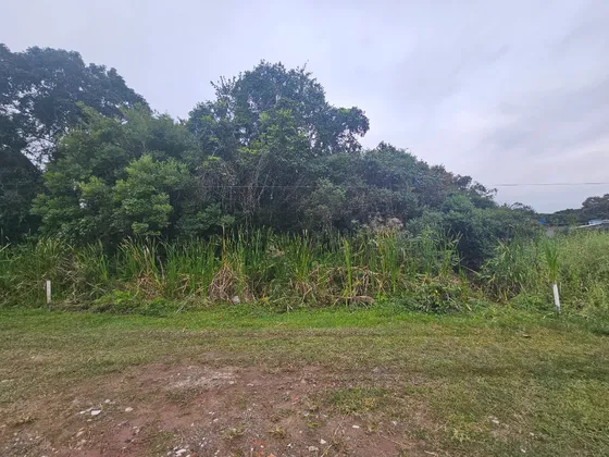 Terreno Com Escritura Abaixo Do Preço - 364m2 Em Peruíbe 