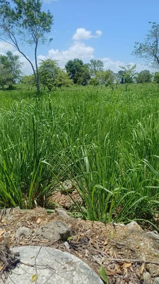 Terreno En Hato Mayor 