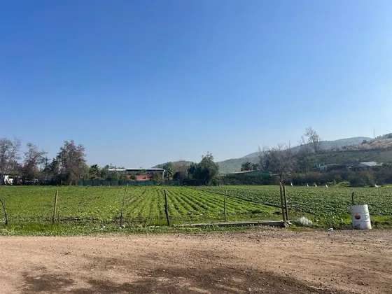 Agrícola En Venta En Colina