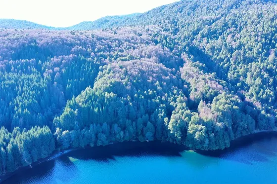 Parcela En Venta En Panguipulli